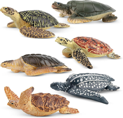 Toymany 6PCS Realistic Sea Turtle Figurines, Plastic Ocean Sea Animals Figures Set for Kids Birthday Gift