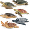 Toymany 6PCS Realistic Sea Turtle Figurines, Plastic Ocean Sea Animals Figures Set for Kids Birthday Gift