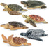 Toymany 6PCS Realistic Sea Turtle Figurines, Plastic Ocean Sea Animals Figures Set for Kids Birthday Gift