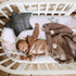 4 Rtteri Pcs Baby Bassinet Sheets Soft Fitted for Baby Boys Girls Soft Cotton Animals Bassinet Sheet Cover Safe Comfort