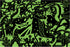 Mudpuppy Dragons – 100 Piece Glow in The Dark Puzzle for Children Ages 5 and Up