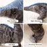 Dinosaur Plush Toy - 16" Parasaurolophus Stuffed Animal, Soft Fluffy Friend Hugging Cushion