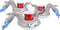 GoFloats Inflatable Pool Drink Holders - 3 Pack (Choose Unicorn, Flamingo, Palm Tree and More)