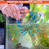 2 6.6 5.3" Pcs Blue Crab Toy - X Imitation Crab Decorations with Lifelike Texture and Detail - Plastic Sea Creatures