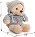 Ganz 9" Get Well Soon Teddy Bear - Gray Hoodie Feel Better Gift for Kids & Women