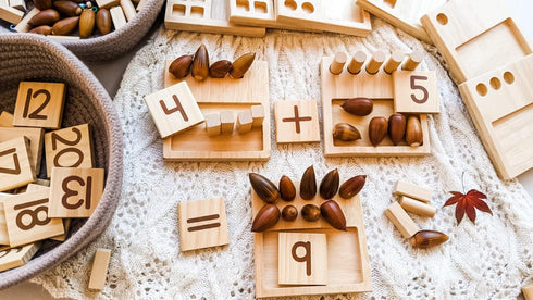 LITTLE BUD KIDS Counting Pegs - A Wooden Montessori Math Toy with Ten Frame Math Game, Addition and Subtraction Flash