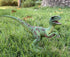 Gemini&Genius Velociraptor Dinosaur Toy for Kids - Moveable Jaw and Hands, Detail Raptor Action Figure Gift for Kids