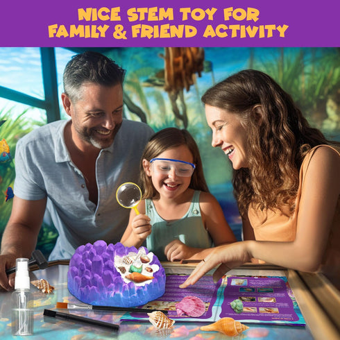 20+ Set 6+ PIBEX Ocean Fossil Dig Kit, Dig up Real Shells & Seasnails, STEM Educational Activity Sea Creatures
