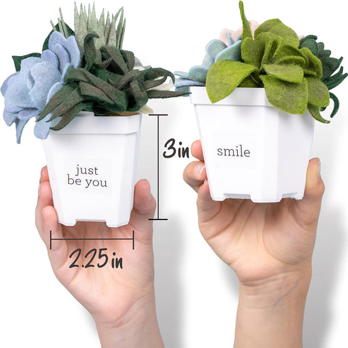 6 Hapinest DIY Potted Felt Succulents Craft Kit for Adults Women Teens and Seniors, Arts & Crafts for Ages Years and Up