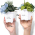 6 Hapinest DIY Potted Felt Succulents Craft Kit for Adults Women Teens and Seniors, Arts & Crafts for Ages Years and Up
