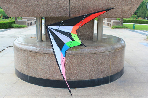 HENGDA KITE Upgrade Star Rhyme Stunt Kite (48 Inch, Dual Line, for Kids and Adults, Handle, Line, Bag Included)