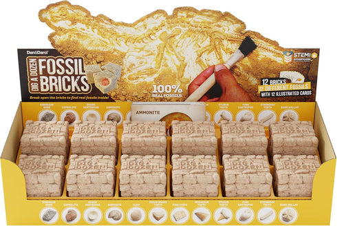 Dig a Dozen Fossil Bricks - Break Open 12 Bricks and Discover Unique Real Fossils