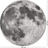 1000 1000 Antelope - Piece Puzzle for Adults, Space Moon Jigsaw Puzzles Pieces, Telescope Planet Close-up Round Puzzle