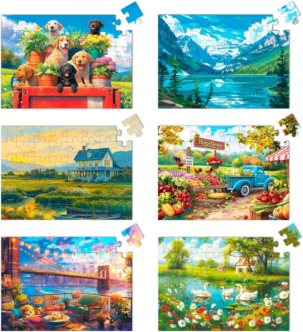Yigney 6 Pack 48 Large Piece Jigsaw for Seniors Alzheimer Products for
