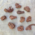 Safari Ltd Dinosaur Skulls TOOB - 11 Mini Figurines Including Velociraptor, Brachiosaurus, and More - Educational Toy