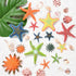 14 Set Summer Swimming Set, Swimming ZAUGONTW Pieces Diving Starfish Pool Toy, Colorful Starfish Diving Toys Starfishs