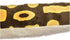 Wild Republic 54" Ball Python Snake Plush Stuffed Animal Toy, Gifts for Kids