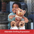 GUND Slumbers Teddy Bear, Premium Stuffed Animal for Ages 1 & Up, Brown, 17”
