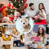 CHELEI2019 7.9" Husky Stuffed Animal, Stuffed Husky Dog Plush Pillow Toy, Gifts for Kids