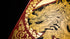 Bicycle Red Dragon Gold Foil Premium Playing Cards, 1 Deck
