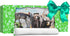 Dig a Dozen Egg Kit, Break Open 12 Eggs to Discover 12 Unique Wild Safari Animals, STEM Gift for Kids