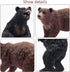 Toymany 6PCS Bear Figurines, Realistic Forest Animals Bear Family Figures Toy Set includes Brown Bears Black Bears and Cubs, Education Toy Birthday for Kids Toddlers