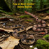 2Pcs SIENON Realistic Fake Snakes Toys Figures, Soft Rubber Lifelike Garden Poisonous Scare Birds and Squirrels, Viper