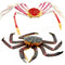 Gemini&Genius King Crab and Spider Crab Toys Set, Marine Animals Toys Sea