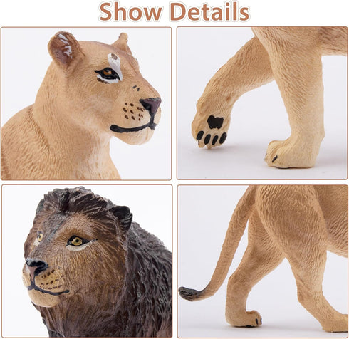 Toymany 6PCS Realistic Lion Figurines - Jungle Animals Family Set with Baby Lions, Educational Toy for Kids
