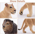 Toymany 6PCS Realistic Lion Figurines - Jungle Animals Family Set with Baby Lions, Educational Toy for Kids