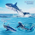 2.4Ghz 6 7 8 1:18 JUKUDAHU Remote Control Shark Toys for Kids Years Old, Scale High Simulation Shark for Pool, Bath