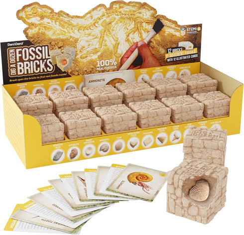 Dig a Dozen Fossil Bricks - Break Open 12 Bricks and Discover Unique Real Fossils