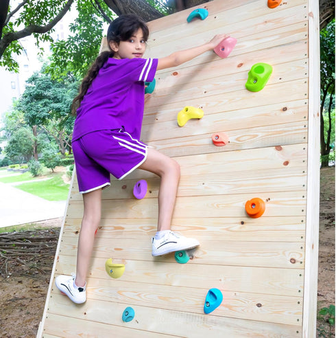 TOPNEW 32 Rock Climbing Holds - Multi Size Grips for Kids and Adults, Indoor and Outdoor Playground Play Set