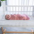 Set Comfy Cubs Muslin Fitted Sheet & Swaddle Blanket