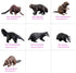 Realistic 7pcs Animal Figures Action Model Set, Educational Learning Toys Birthday Gift for Kids and Toddlers