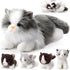 HyDren 5 Pcs Realistic Ragdoll Cat Stuffed Animal, 17.75 Inches Large Ragdoll