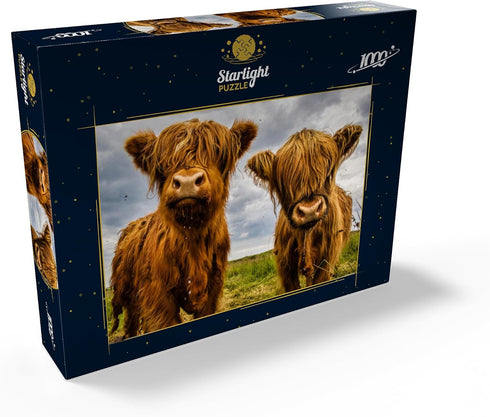 MyPuzzle Two Highland Cows - Premium 1000 Piece Jigsaw Puzzle for Adults