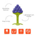 Innobaby Original Teethin Smart EZ Grip Fruit Teether and Sensory Toy for Babies, Grape, BPA Free