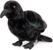 Crow Stuffed Animals, 10 Inch Realistic Black Raven Plush Toy, Cute Wild Animal Gift