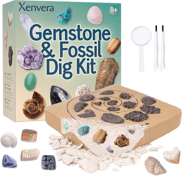 Gemstone and Fossil Dig Kit Excavate 10 Gems and 10 Fossils, STEM