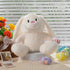 10inch HollyHOME Bunny Stuffed Animal, Easter Bunny Plush Toys, Soft and Cuddly Stuffed Rabbit Easter Gift for Kids