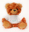 10" Penned Teddy Bear with Hug Me T-Shirt, Brown Bedtime Teddy, Gift for Emotional Support, Calm Children