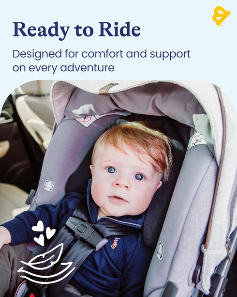 2-in-1 Travel Bug GoldBug Baby & Toddler Car Seat Head Support - Black