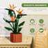 Set 320 Set Bird of Paradise Flowers Building Blocks Ideal for Teens and Adults PCS, Creative DIY Flower Bouquet Home