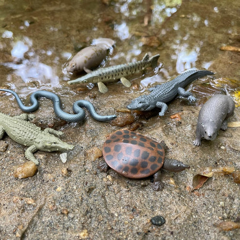 11 Set 3+ Safari Ltd. Everglades TOOB - Mini Figurines: Manatee, Alligator, Turtle & More - Educational Toy for Boys