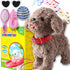 Marsjoy Teddy Walking Barking Dog Toy Singing Puppy Set, Repeat What You Say