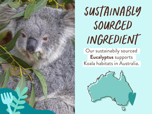 Babo Botanicals Eucalyptus Remedy 2-in-1 Bubble Bath & Wash - Invigorating Eucalyptus, Rosemary & Peppermint for All