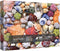 Colorful Seashell 1000 Piece Puzzle for Adults, Ocean Beach Marine Jigsaw Puzzles Hawaii