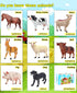 8 Pcs Big Animal Figurines Toys, Realistic Plastic Farm Animals Playset for Kids Toddlers Educational Learning