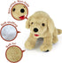 LotFancy 12 Inch Dog Stuffed Animals, Cuddly Golden Retriever Sitting Puppy Plush Toy